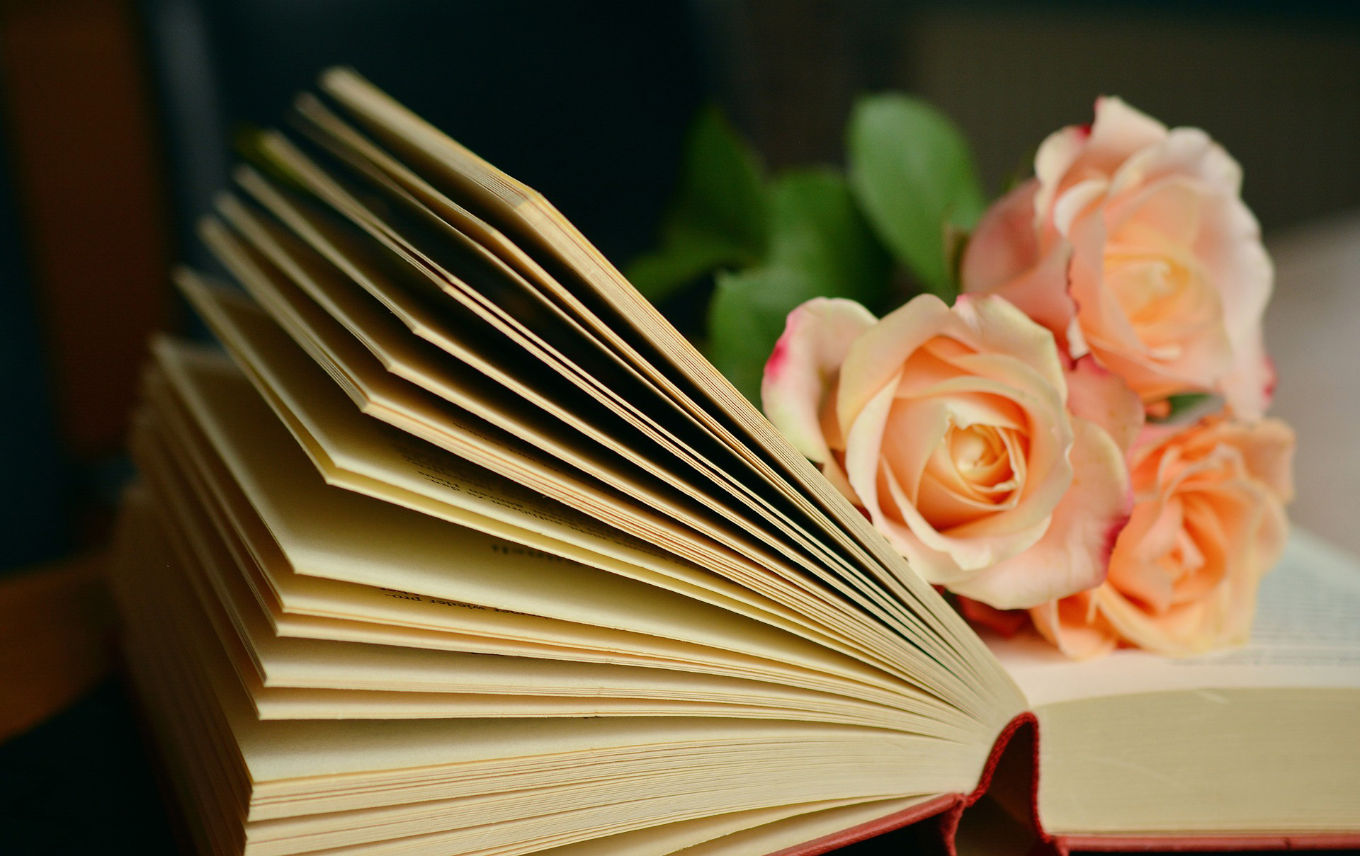Recommended Books