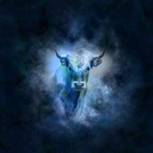 The Taurus Bull