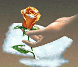 Rose-hand