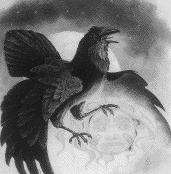 raven